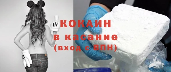 прущие грибы Верея