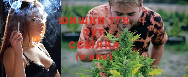 сатива Тихвин